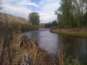 Colorado River