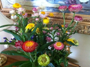 Zinnia Boy Bouquet