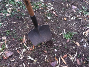 Garden Tool