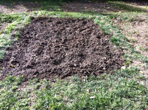 Compost Bed