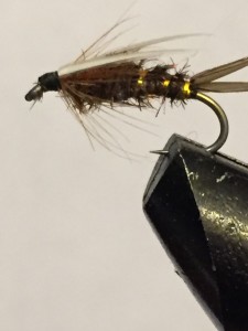 Prince nymph