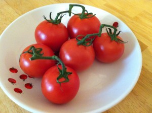 Garden Tomatoes