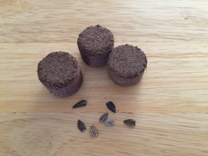 Pellets and Seeds