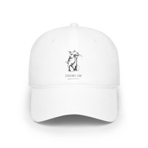 Low Profile Baseball Cap