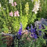 Secret Garden Season II