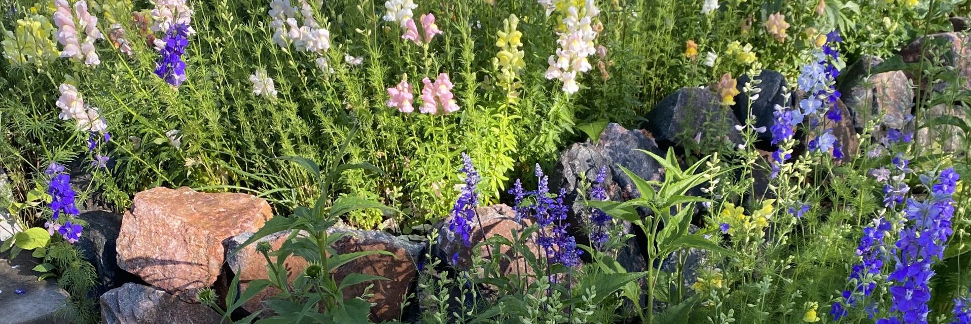 Secret Garden Season II