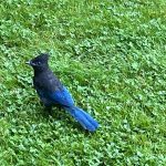 Words From Our Editor