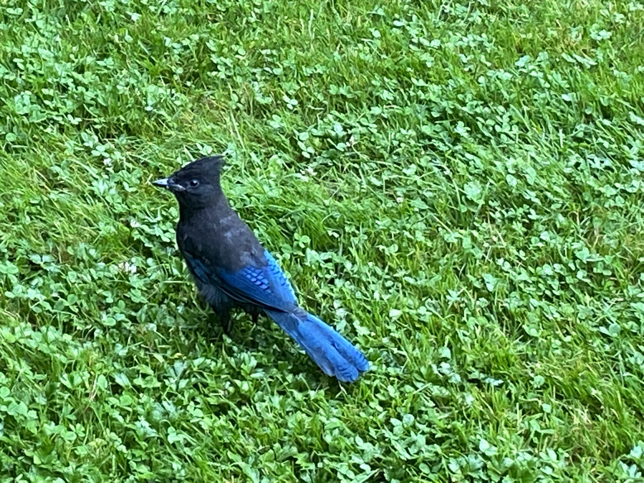 Words From Our Editor