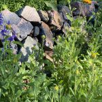 Garden Retaining Walls