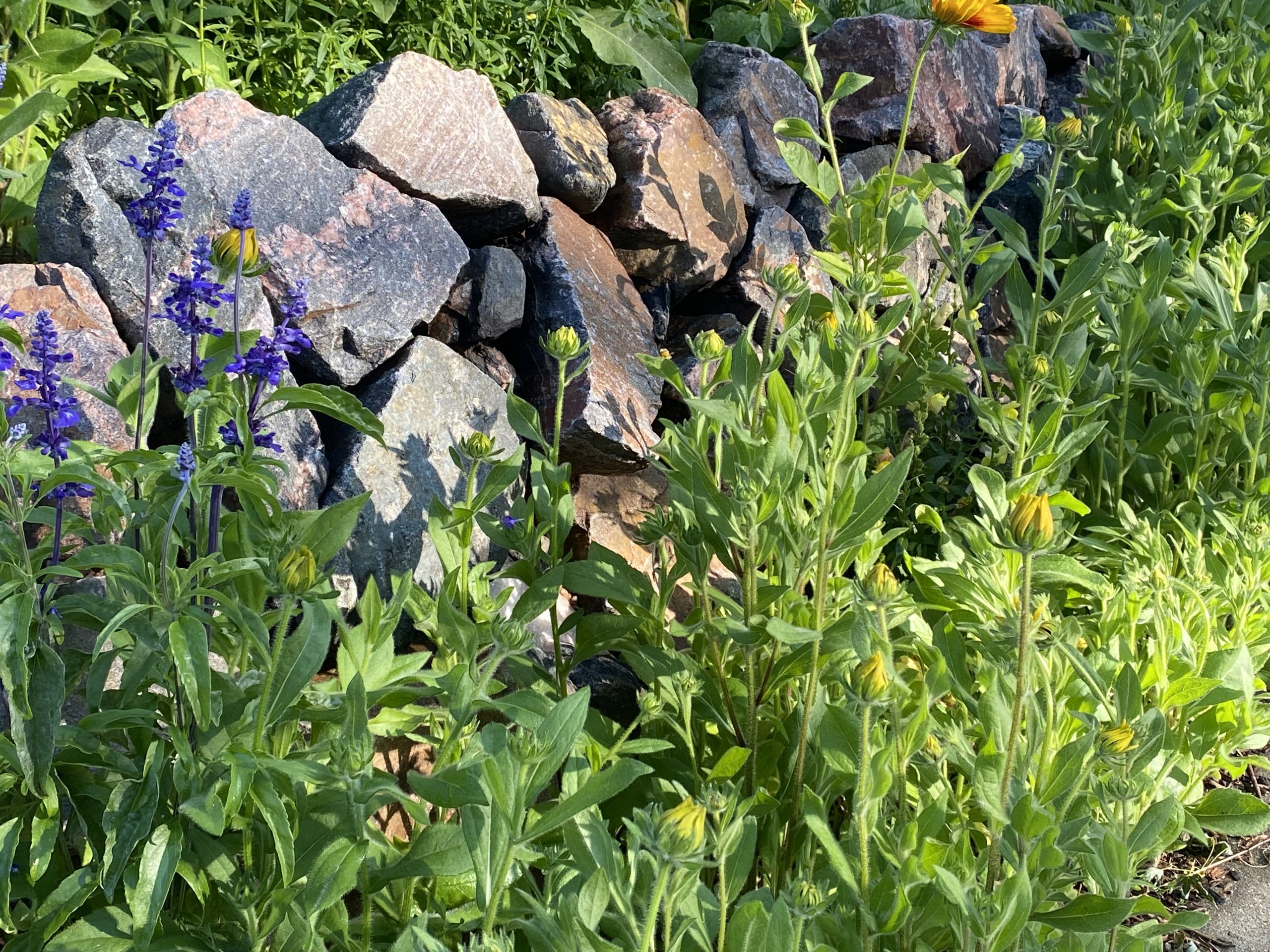 Garden Retaining Walls