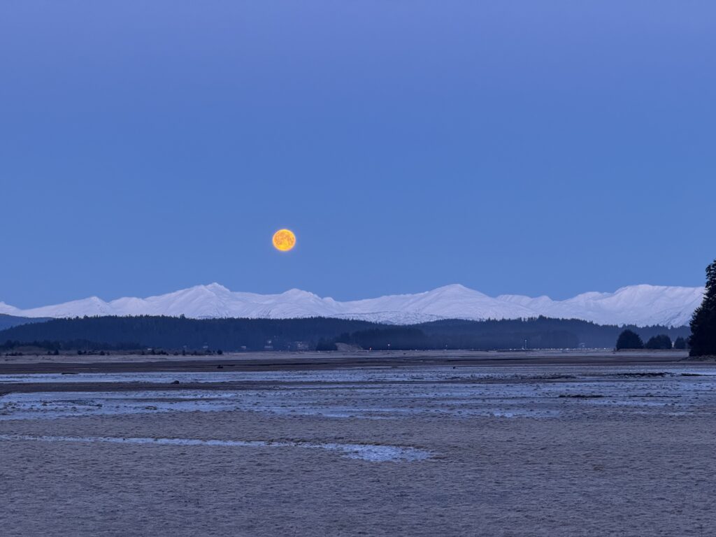 Moon Light