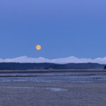 Moon Light