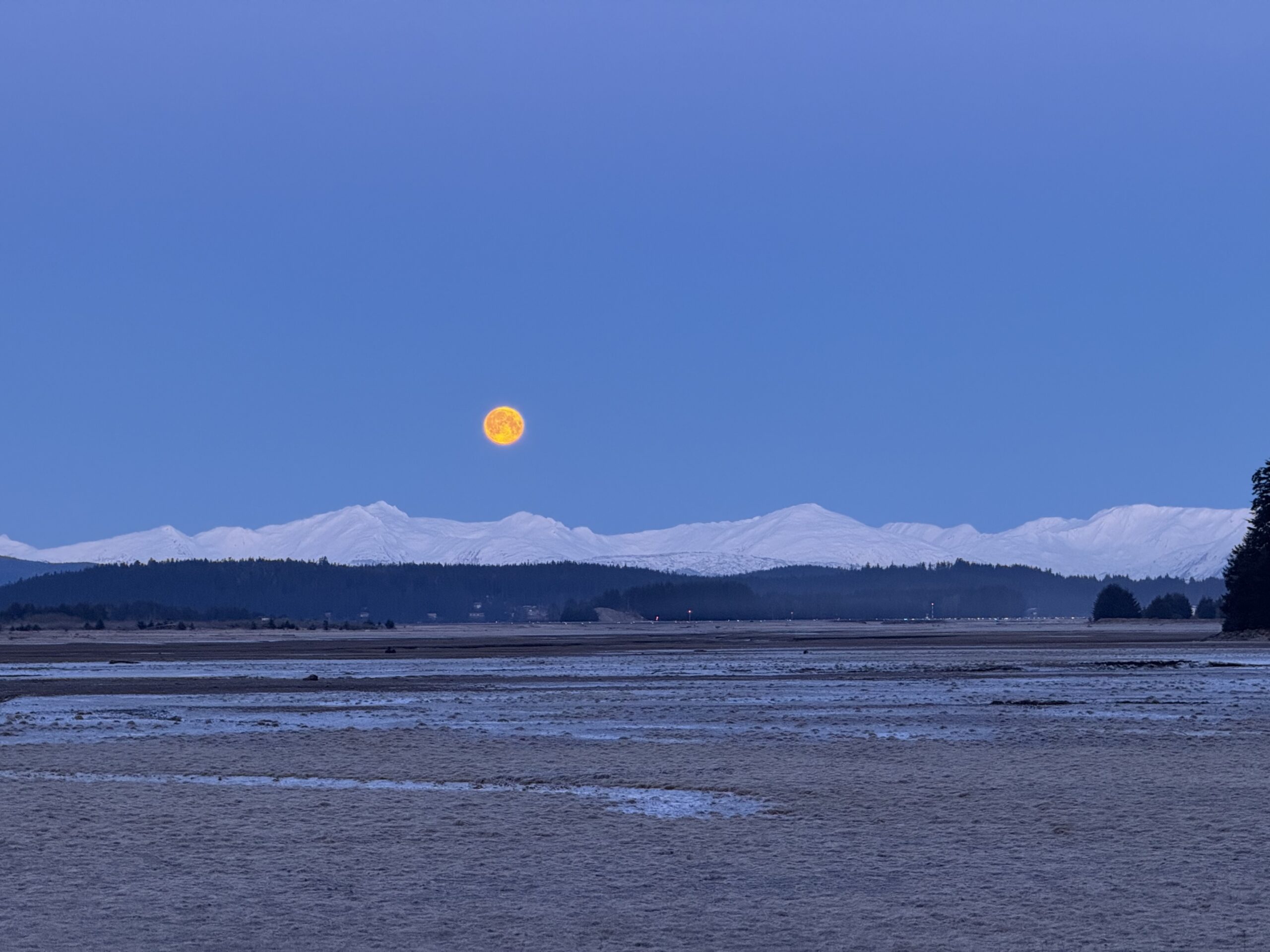 Moon Light